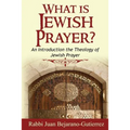 What is Jewish Prayer?: An Introduction the Theology of Jewish Prayer