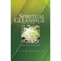 Spiritual Gleanings from Everyday Life: Incidents with a Spiritual Application