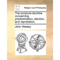The Scripture Doctrine Concerning Predestination, Election, and Reprobation.