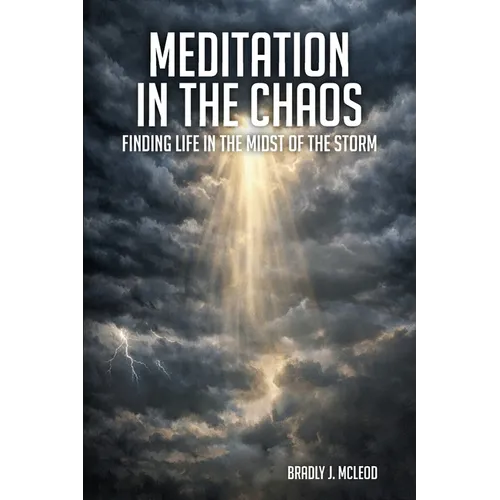 Meditation In The Chaos
