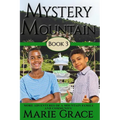 Mystery Mountain, Book Three: More In The Adventures Of A Mountain Family and Community