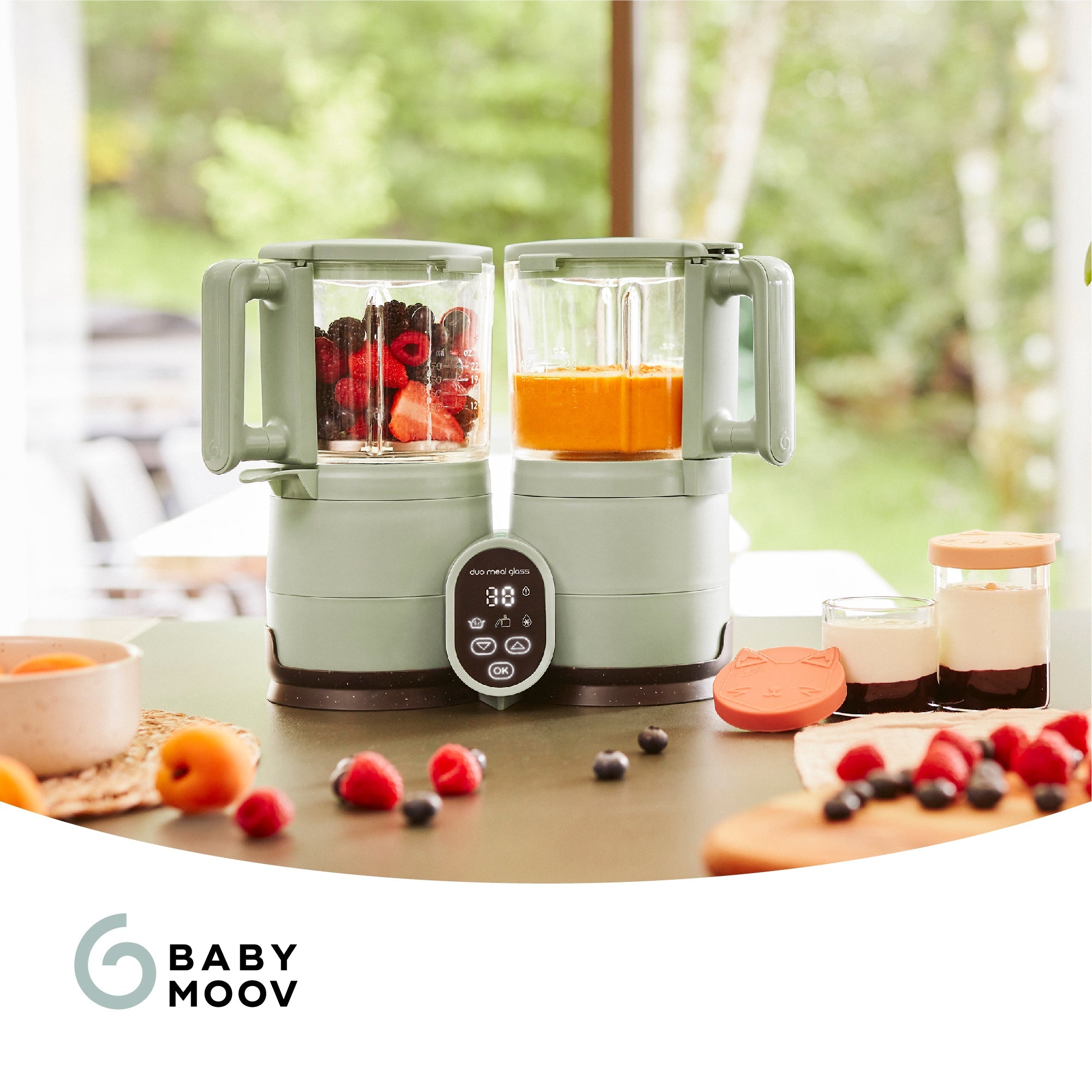 Duo Meal Glass Pro Baby Food Maker