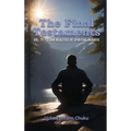 The Final Testaments Vol. 11: Stark Realities of Spiritual Rebirth