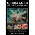 Nudibranch of the Gili Islands Indonesia: A Photo Identification Guide Featuring Over 130 Nudibranch & Sea Slug Species