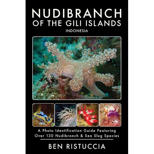 Nudibranch of the Gili Islands Indonesia: A Photo Identification Guide Featuring Over 130 Nudibranch & Sea Slug Species