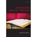Introducing Biblical Theology