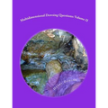 Multidimensional Dowsing Questions: Volume II