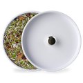 Mental Focus & Energy Herbal Tea