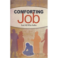 Comforting Job: And All Who Suffer