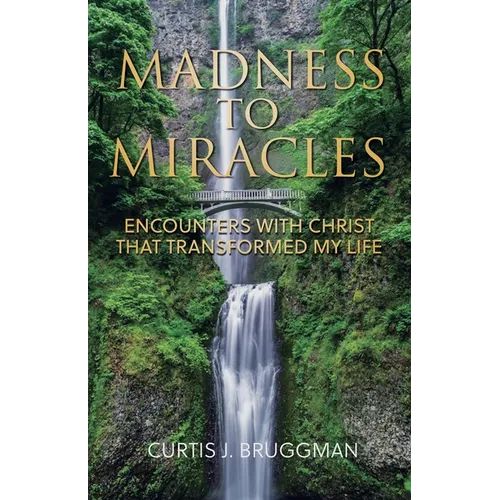 Madness to Miracles: Encounters with Christ That Transformed My Life