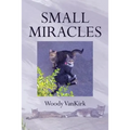 Small Miracles
