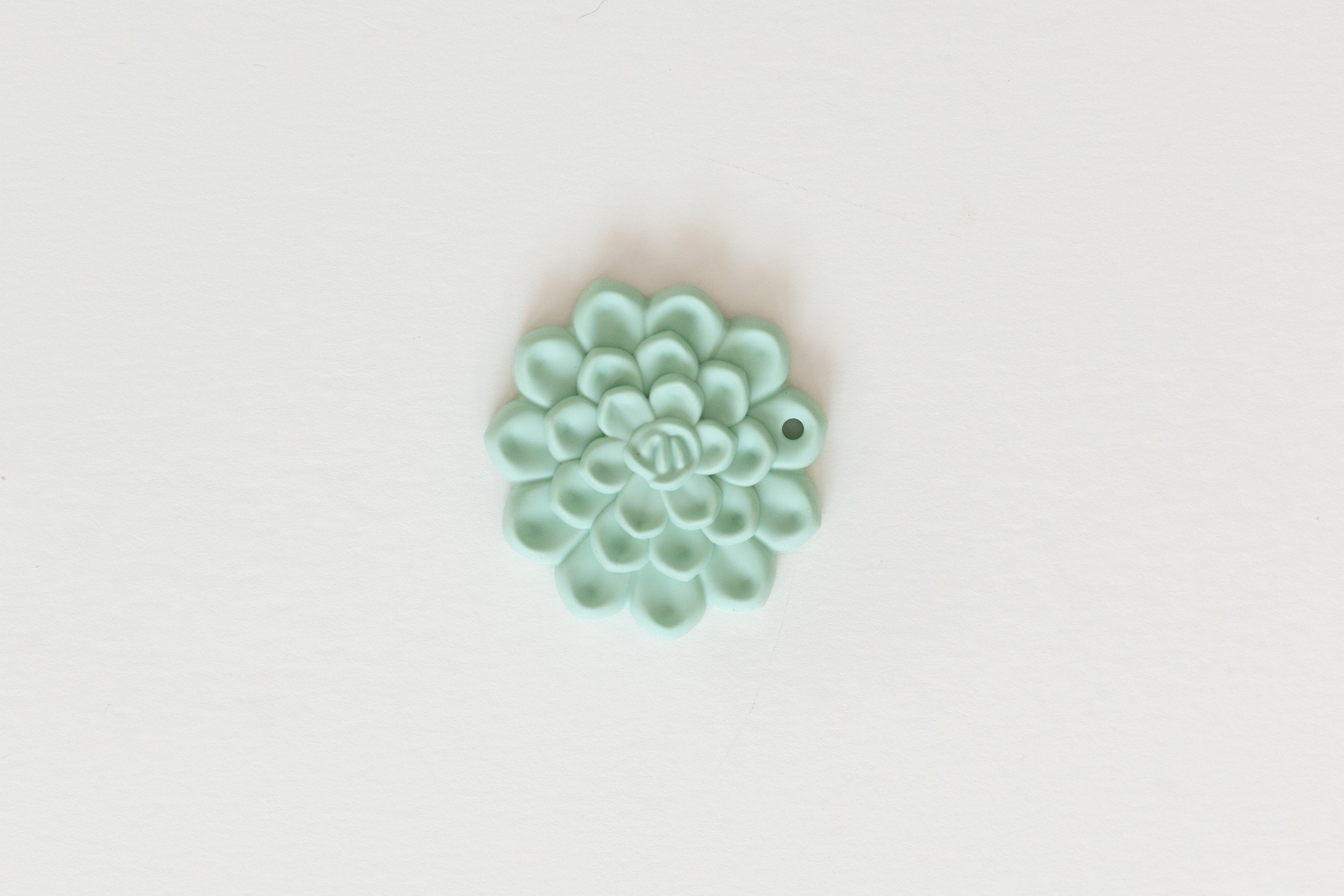 Succulent Teethers