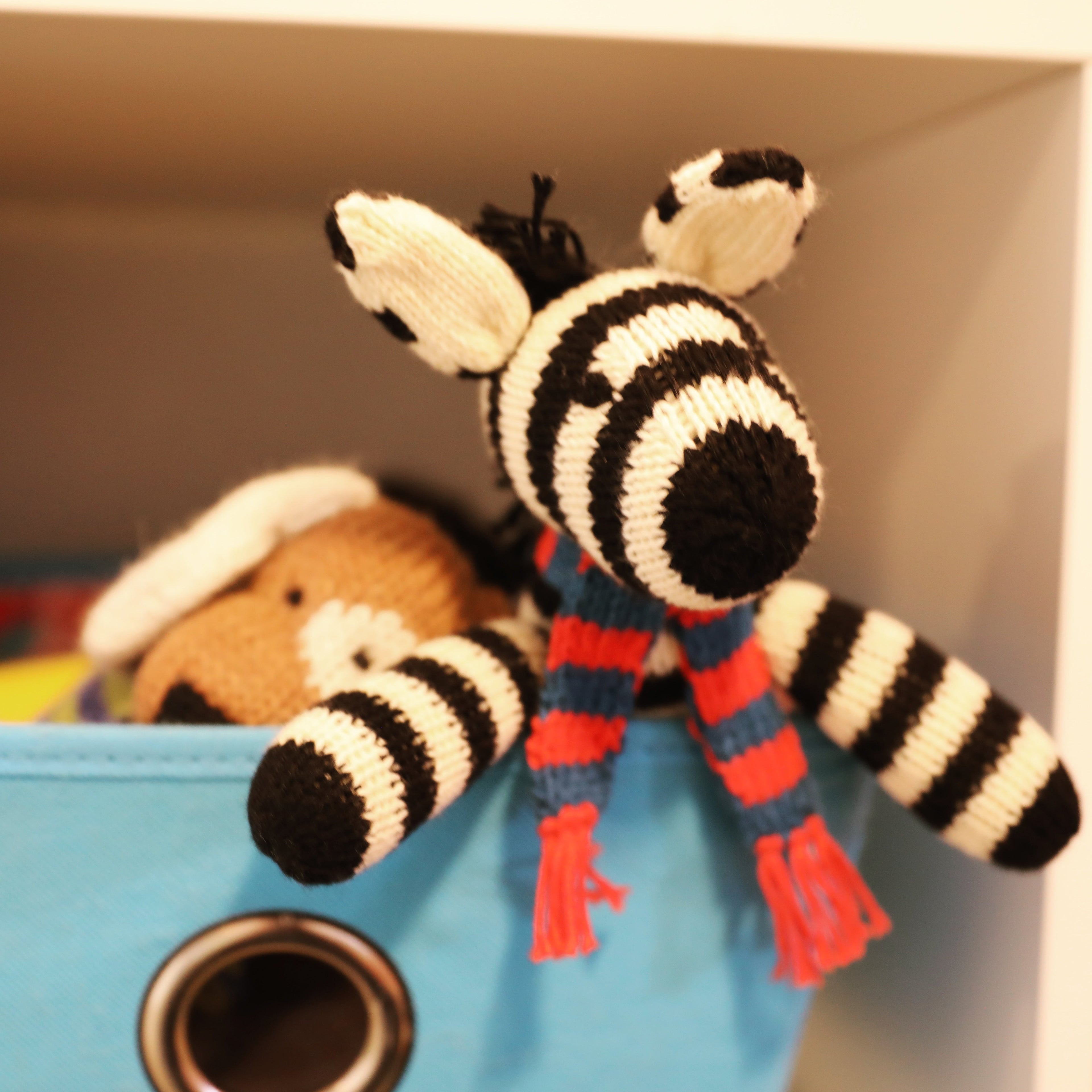 Zebra