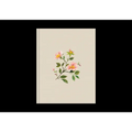 ESV Single Column Journaling Bible (Cloth Over Board, Rosehip Design)