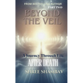 Beyond the Veil: A Journey Through Life After Death - Part Two
