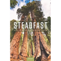 Steadfast 2027: 365 Days of Devotion