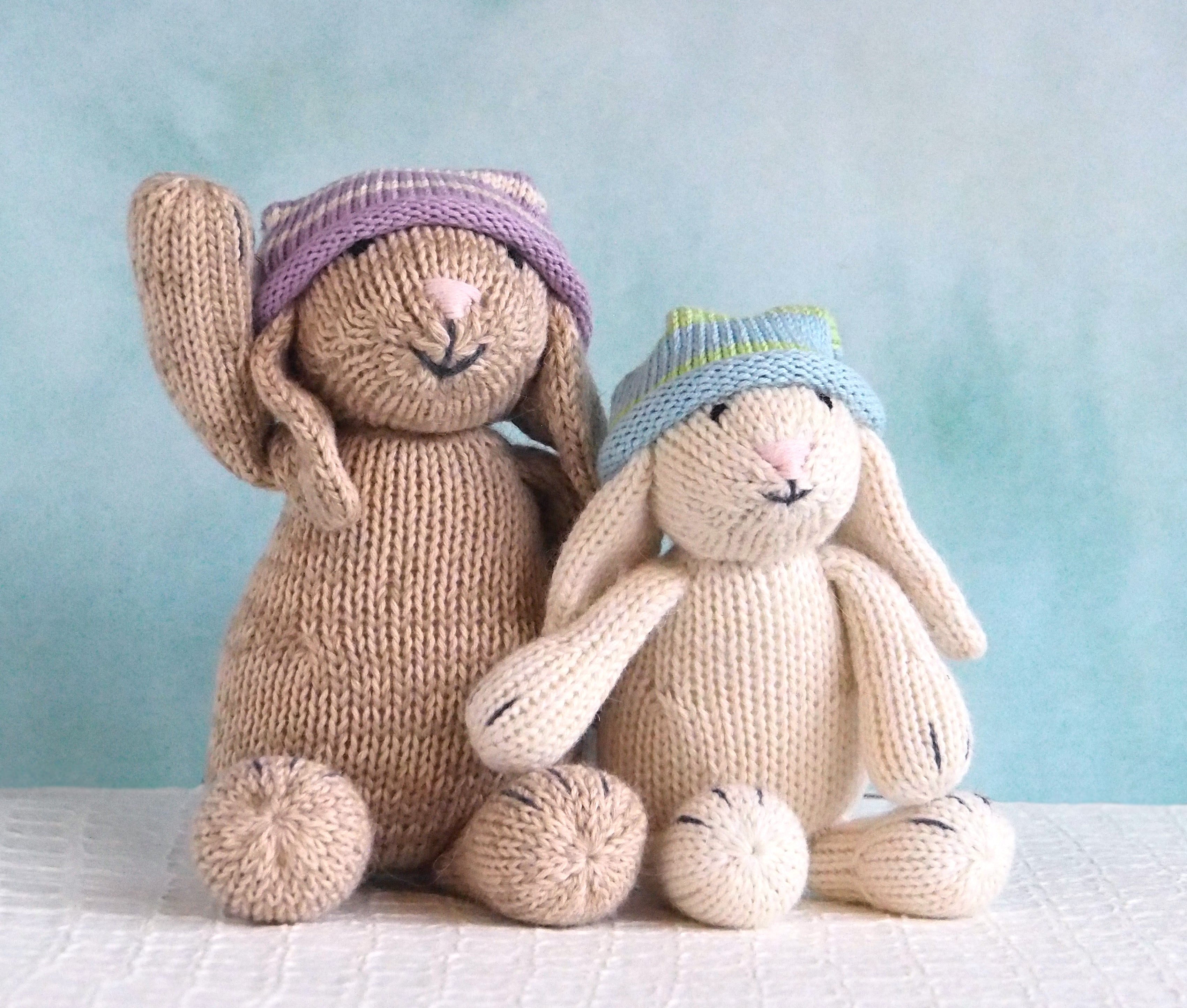 Brown Bunny in Slouch Hat