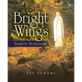Bright Wings: Homiletic Meditations