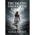 Trudging Through the Storm: May This Book Be a Light in the Storm You're Navigating