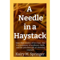 A Needle in a Haystack: More than stories of love lost- this is a testimony of resilience, faith, and the priceless gift of choosing yourself.