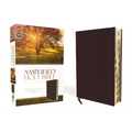 Amplified-Am: Captures the Full Meaning Behind the Original Greek and Hebrew