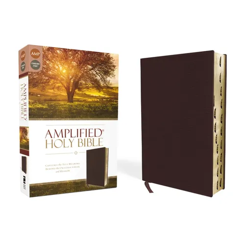 Amplified-Am: Captures the Full Meaning Behind the Original Greek and Hebrew