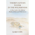There's Always Water in the Wilderness: A Close Look at the Biblical Motifs of Wells and Wildernesses