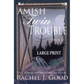 Twin Trouble - Large Print: A Benuel Miller Amish Suspense Novel