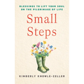 Small Steps: Blessings to Lift Your Soul on the Pilgrimage of Life