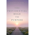 The Providential Road to Purpose