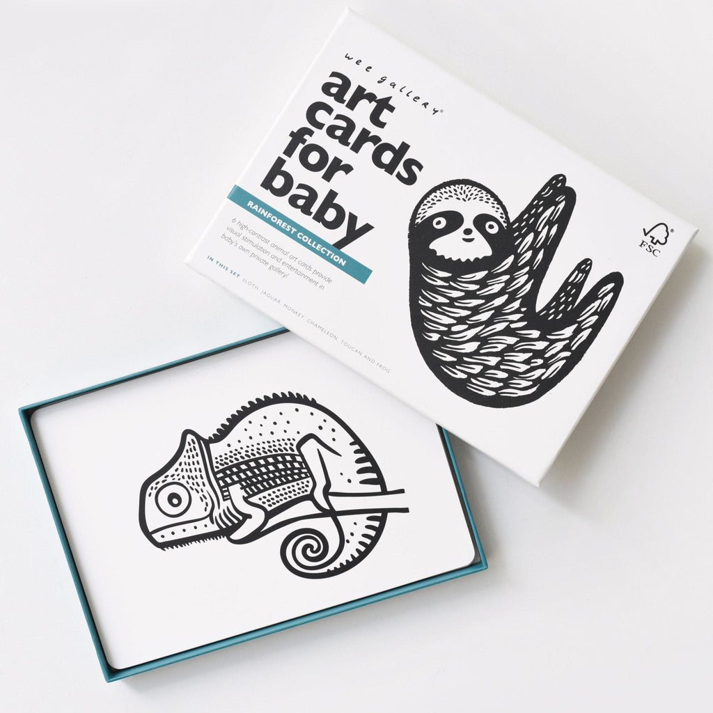 Art Cards for Baby - Rainforest Collection