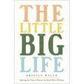 The Little Big Life: Quieting the Noise to Discover the Secret Place with Jesus