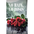 No Rain, No Roses