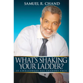 What's Shaking Your Ladder?: 15 Challenges All Leaders Face
