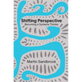 Shifting Perspective: Becoming a Systems Thinker