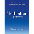 Meditation Now or Never
