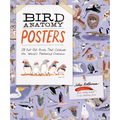 Bird Anatomy Posters: 28 Pull-Out Prints That Celebrate the World's Feathered Creatures