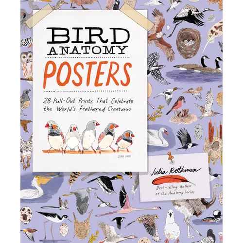 Bird Anatomy Posters: 28 Pull-Out Prints That Celebrate the World's Feathered Creatures