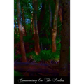 Commentary On The Psalms: Psalms 1 - 50