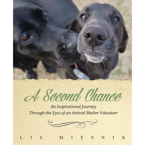 A Second Chance: An Inspirational Journey through the Eyes of an Animal Shelter Volunteer