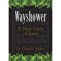 Wayshower: A New View of Jesus