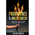 Providence In The Wilderness