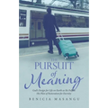 The Pursuit of Meaning: God's Design for Life on Earth as He Fulfills His Plan of Restoration for Eternity
